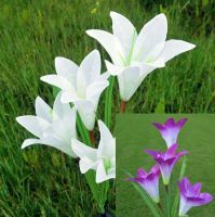 Solar Garden Decoration Lawn Light Simulation Lantern (Color: White purple)