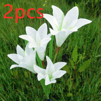 Solar Garden Decoration Lawn Light Simulation Lantern (Color: White 2pcs)